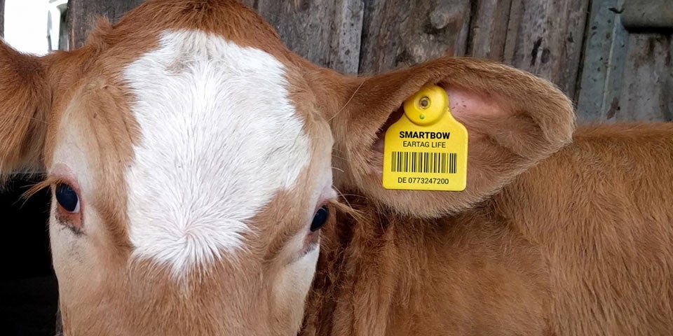 5 Mio. Euro für heimisches Bauern-Start-up