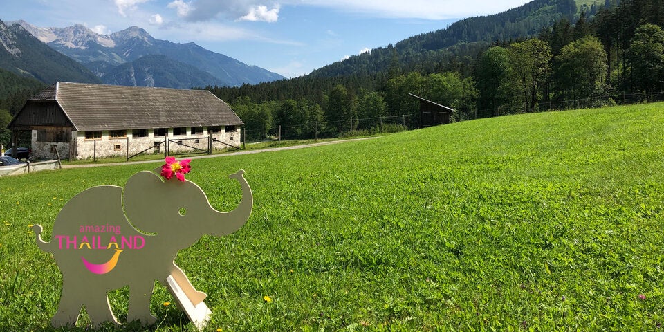 Smiley-fant in Hinterstoder in OÖ