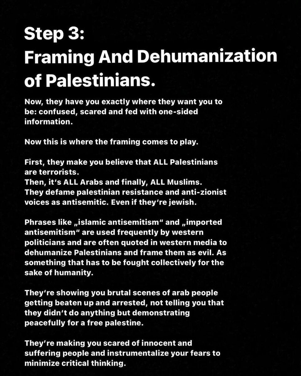 Wirbel um Palästina-Posting von Fridays for Future 6