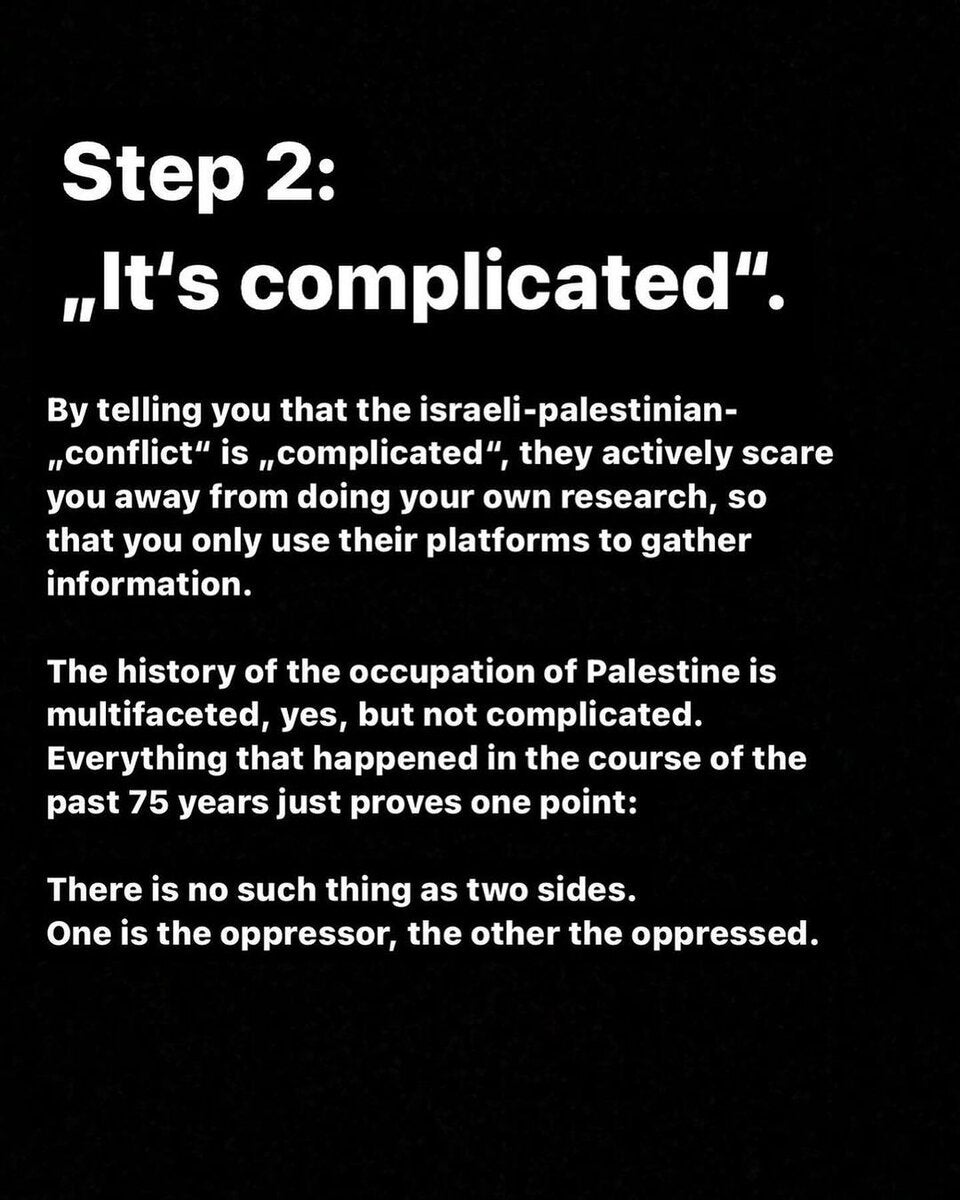 Wirbel um Palästina-Posting von Fridays for Future 5