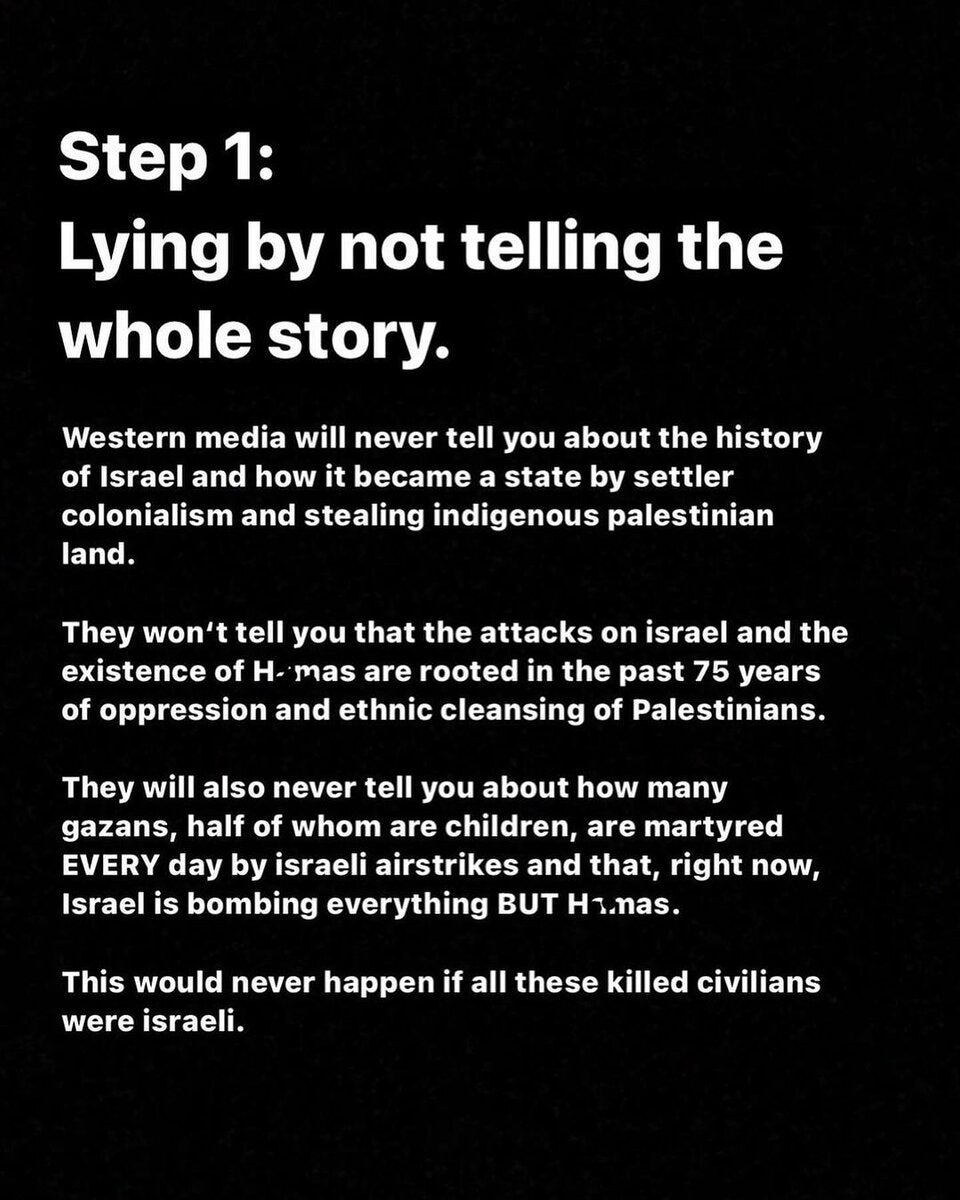 Wirbel um Palästina-Posting von Fridays for Future 4