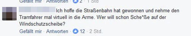 Strache Hass Postings