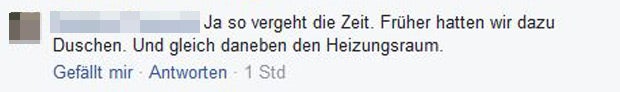 Strache Hass Postings