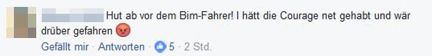 Strache Hass Postings