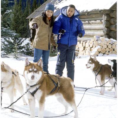 Harry Potter und der Gefangene von Askaban 