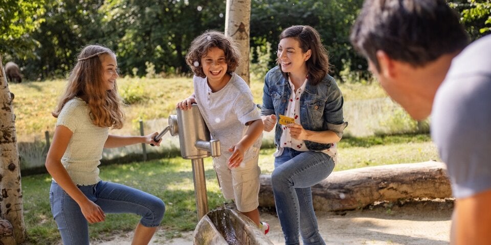 Sommer-Highlights in Niederösterreich