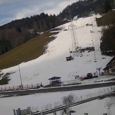 So grün ist derzeit Österreich