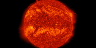 Dr. Tamitha Skov/Twitter