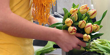 Sonst sind die Bl&uuml;ten zu unreif