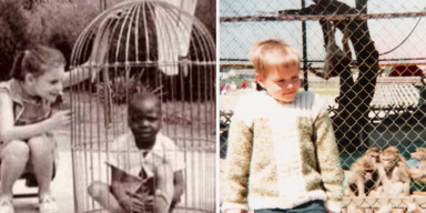 Speziesismus (1).png