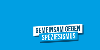 Speziesismus: Eine falsche Grundeinstellung