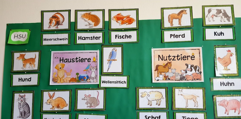 Speziesismus: Eine falsche Grundeinstellung