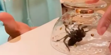 Will Smith/Instagram.