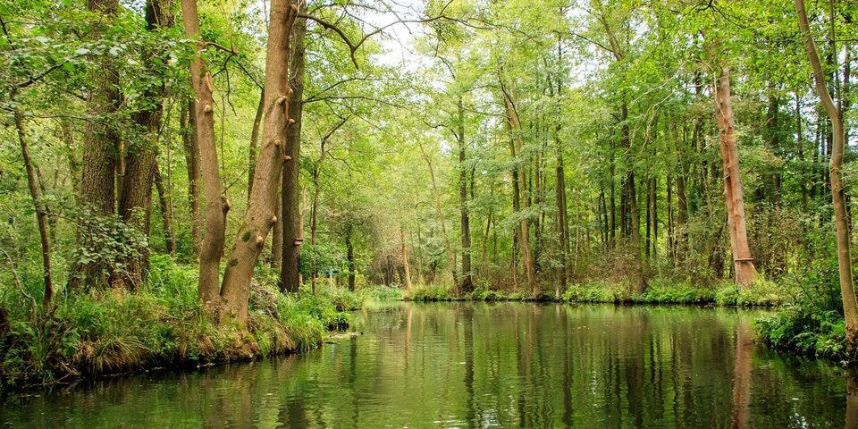 Spreewald, Deutschland 
