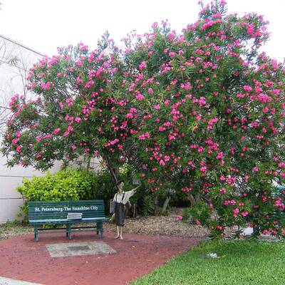 Diese Städte haben Doppelgänger