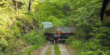 Navi-Drama im Wald: Lkw im Niemandsland gestrandet