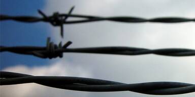 Stacheldraht_stockxchng