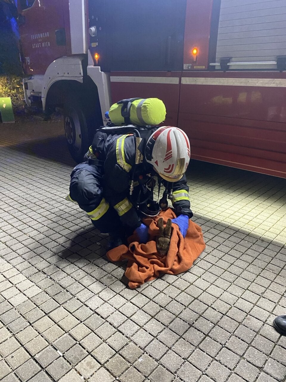 Balkone im Wohnpark Alterlaa brannten – eine Person tot