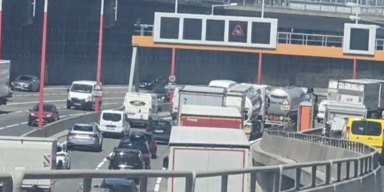 Vinjana Manset Haber