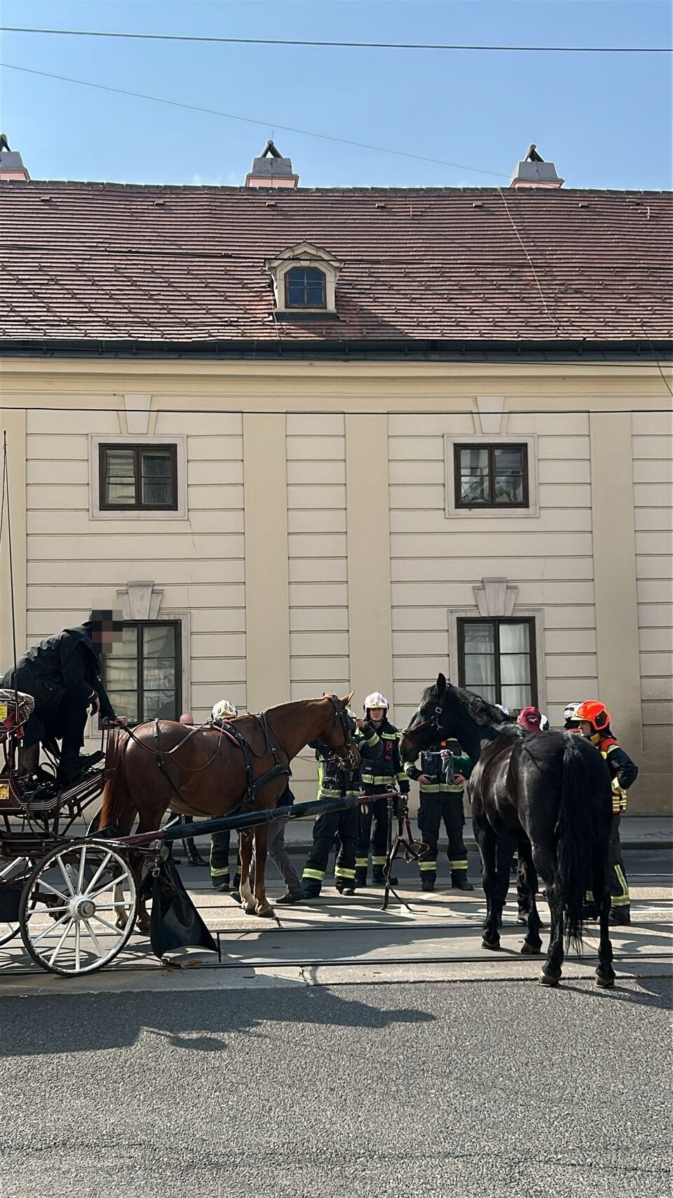 Das Pferd konnte wieder auf die Beine gebracht werden.