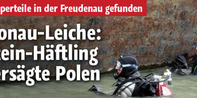 Stein-Häftling zersägte Polen