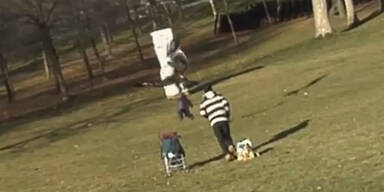 Adler packt Kleinkind - Video ist F&auml;lschung