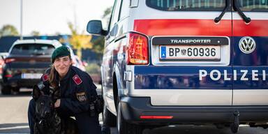 Steirische Polizei konnte fast 60 Prozent der Straftaten aufkl&auml;ren