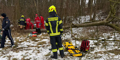 Stephanshart: Schwierige Personen-Rettung in Waldgebiet