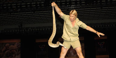 Steve Irwin