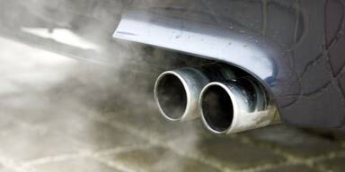 Stinker m&uuml;ssen drau&szlig;en bleiben