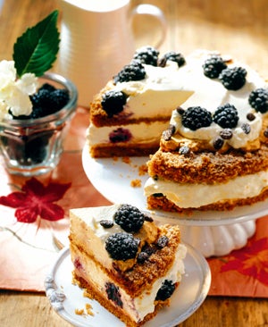 Die besten Torten Österreichs