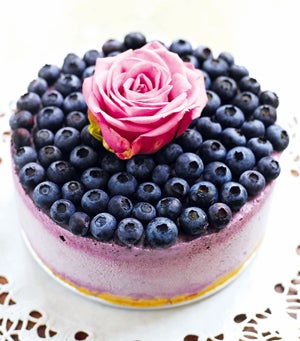 Die besten Torten Österreichs