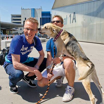ÖSTERREICH begleitet Stöger nach Köln