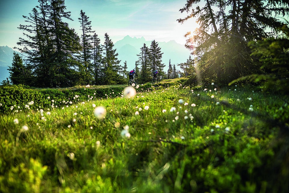 Filzmoos: Bergsommer der Vielfalt