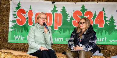 Gewessler protestiert gegen S34: "Natur gewinnt immer"