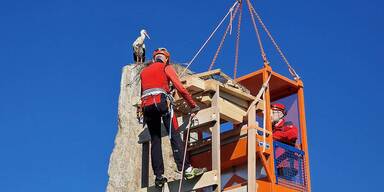 Bergretter helfen Storchenpaar beim Nestbau
