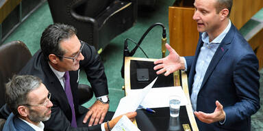 Strache Kickl Strolz