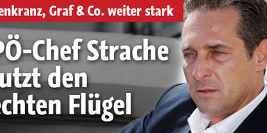 Strache
stutzt
den rechten Flügel