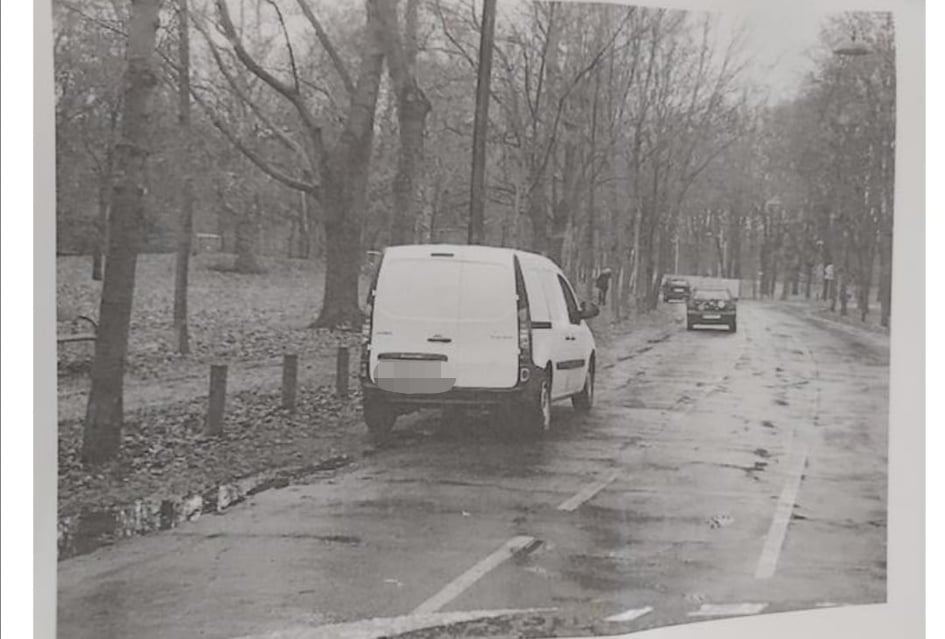 Abzocke in Wiener Hundezone