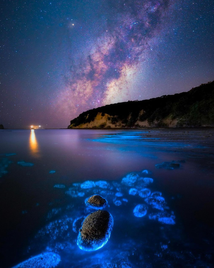 patrickc_la/Instagram