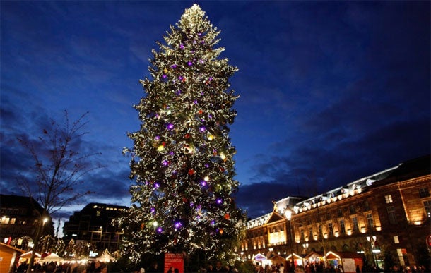 Weihnachtsbaum Straßburg Strasbourg