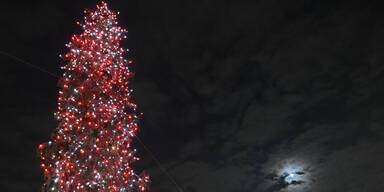 Streit um Christbaum am Wiener Rathausplatz | Schirch oder schön?