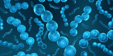 Nach Corona: Neuer Infektions-Alarm in England