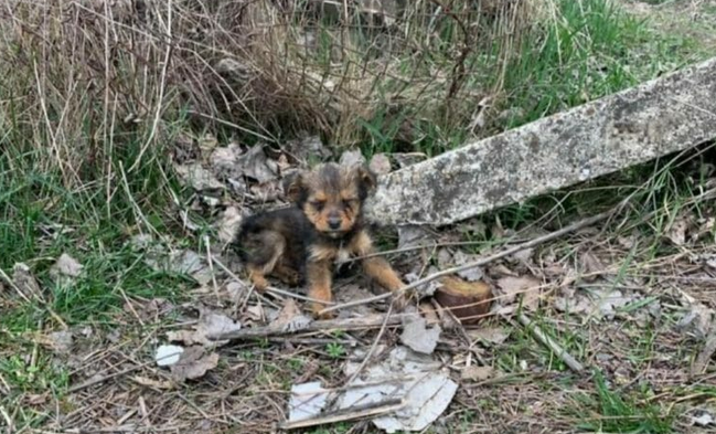 Facebook/Goran Marinkovic