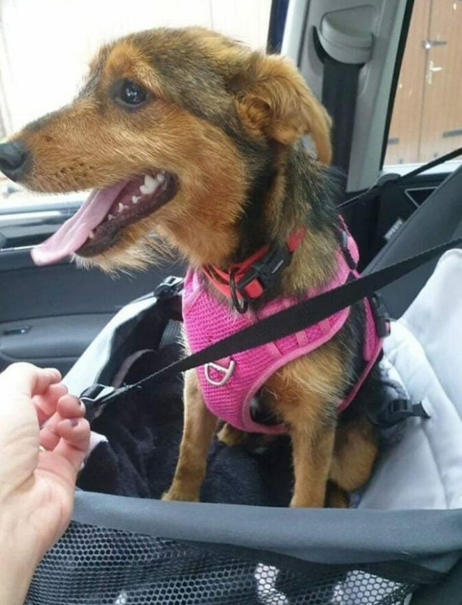 Facebook/Goran Marinkovic