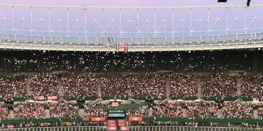 So erlebe ich den Stromausfall