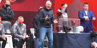 Trainer Struber mit New York in Play-offs