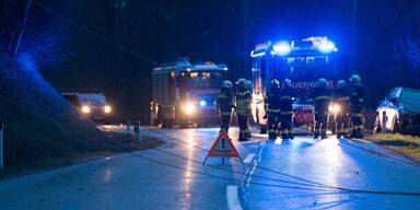 Heftige Sturmb&ouml;en f&uuml;hrten zu vielen Feuerwehreins&auml;tzen