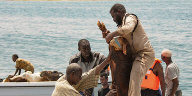 Lockten tote Schafe den Killer-Hai an?