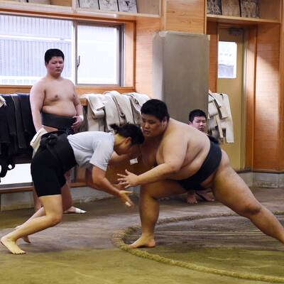 Hier klettern Frauen in den Sumo-Ring